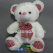 light-up-led-teddy-bear-tm01705-1.jpg.jpg
