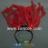 red-light-up-noodle-headband-with-red-ribbon-tm00441-1.jpg.jpg