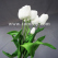 3d-led-tulip-flower-fiber-centerpiece-tm01087-1.jpg.jpg
