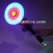 led-bat-pumpkin-windmill-wand-tm07782-2.jpg.jpg