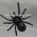 led-black-spider-with-sucker-tm08711-2.jpg.jpg