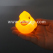 led-floating-duck-tm06843-2.jpg.jpg