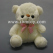 led-little-bear-stuffed-toys-tm03201-1.jpg.jpg