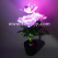 light-up-optical-fiber-peony-bonsai-tm07331-0.jpg.jpg